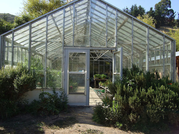 Using Your Backyard Greenhouse