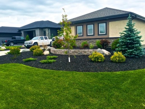 Low-Cost Home Landscaping Tips